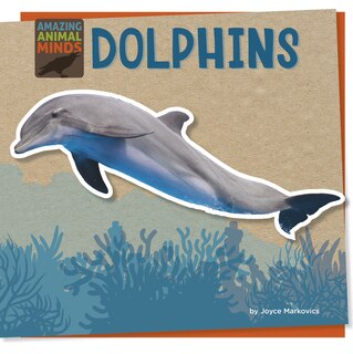 Front cover_Dolphins