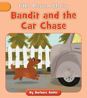 Front cover_Bandit and the Car Chase