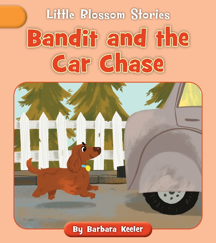 Front cover_Bandit and the Car Chase