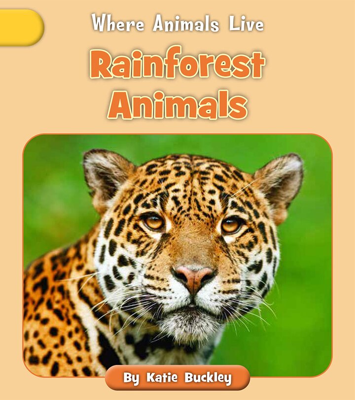 Front cover_Rainforest Animals