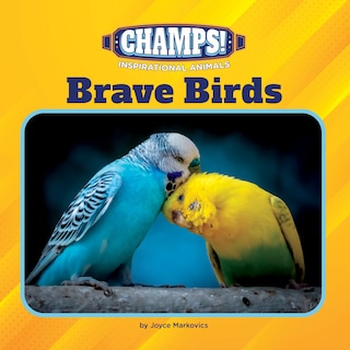 Front cover_Brave Birds