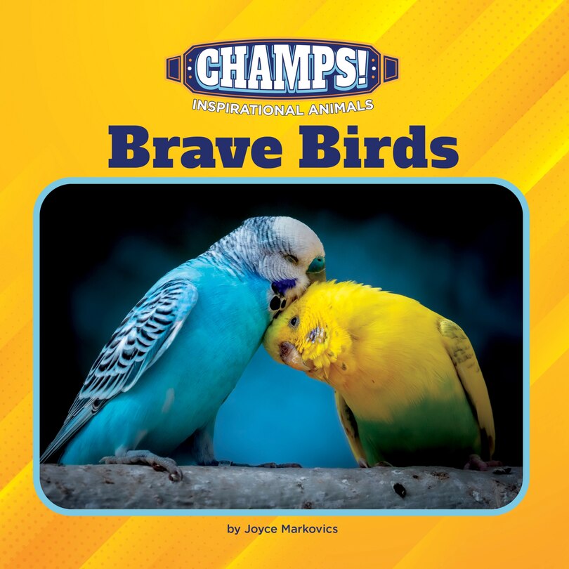 Couverture_Brave Birds