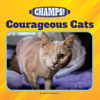 Front cover_Courageous Cats