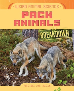 Couverture_Pack Animals