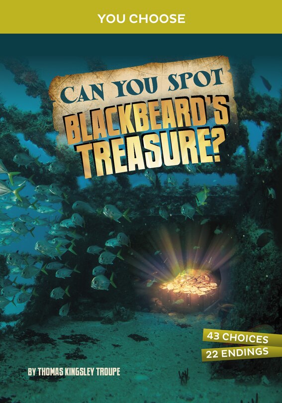 Front cover_Can You Spot Blackbeard's Treasure?