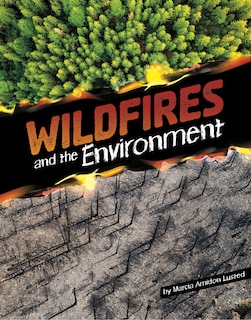 Front cover_Wildfires and the Environment