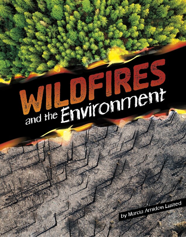 Front cover_Wildfires and the Environment