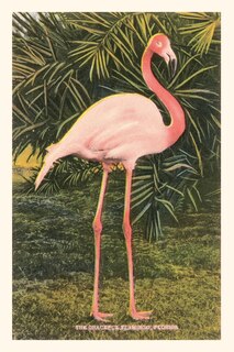 Front cover_Vintage Journal Flamingo