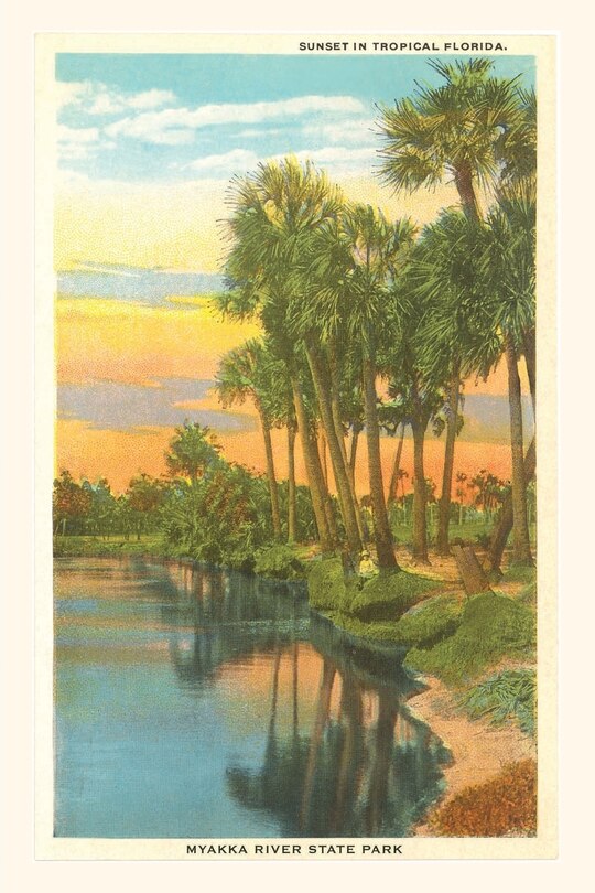 Couverture_Vintage Journal Sunset in Tropical Florida, Myakka River State Park