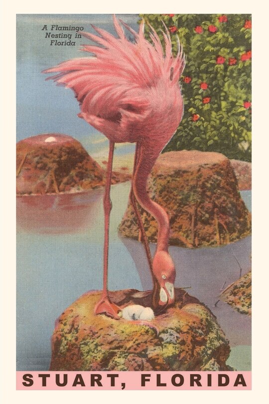Front cover_Vintage Journal Flamingo Nesting in Stuart, Florida