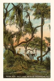 Front cover_Vintage Journal Picnic Oak, St. Petersburg, Florida