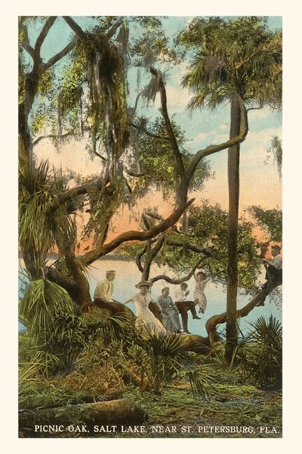 Front cover_Vintage Journal Picnic Oak, St. Petersburg, Florida