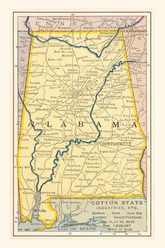 Front cover_Vintage Journal Map of Alabama