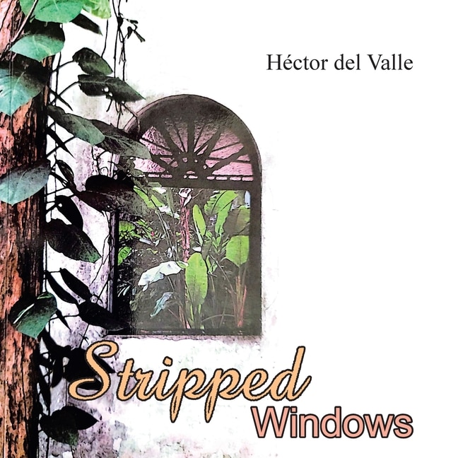 Couverture_Stripped Windows