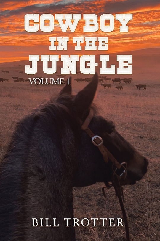 Couverture_Cowboy in the Jungle