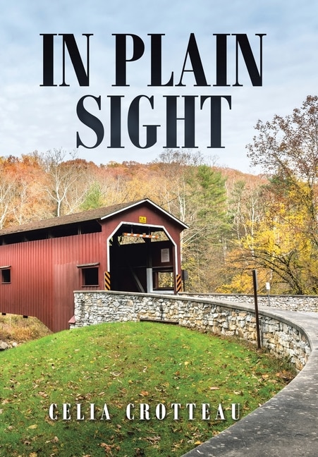 Couverture_In Plain Sight