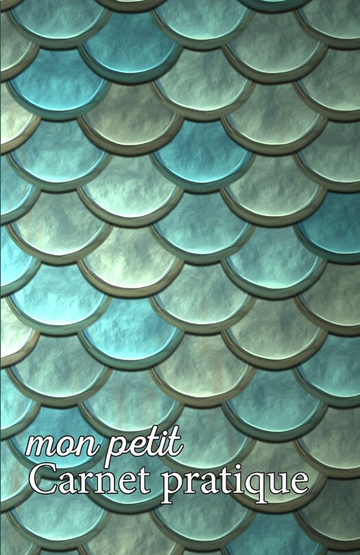 Front cover_Mon petit Carnet pratique