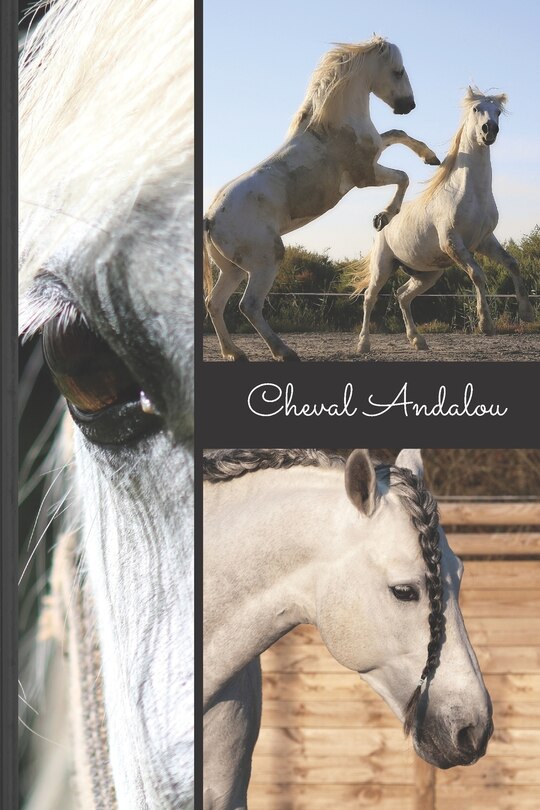 Front cover_Cheval Andalou