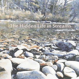 Front cover_The Hidden Life in Streams