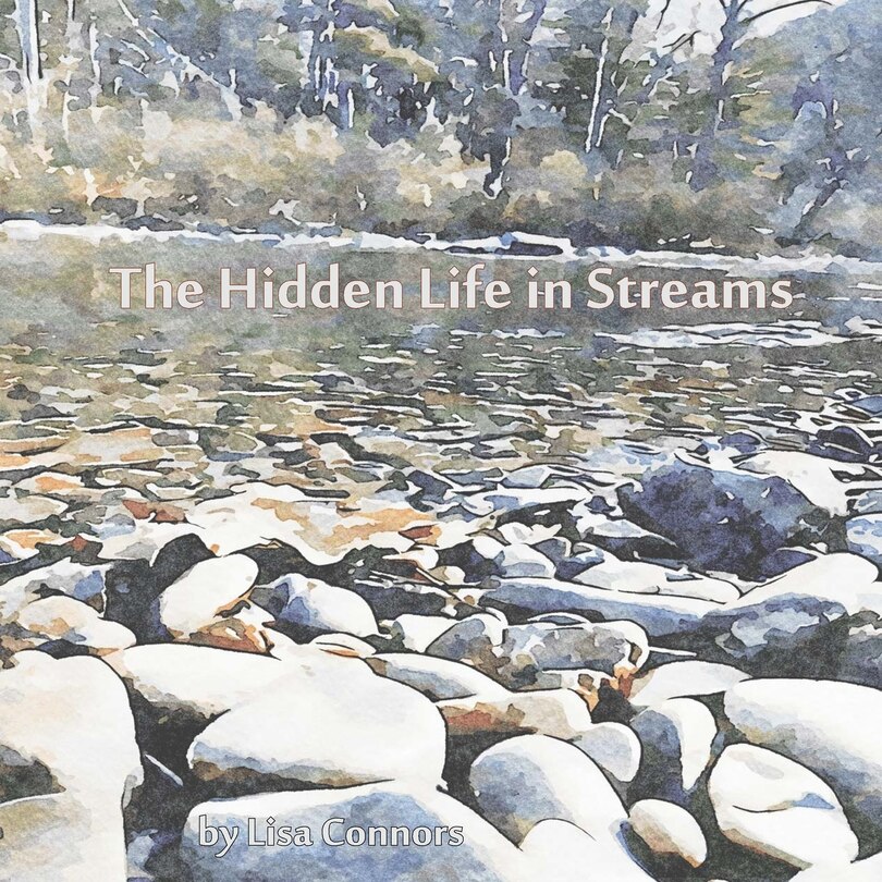 Front cover_The Hidden Life in Streams