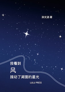 《我看到风，拨动了湖面的星光》: 现代诗选集