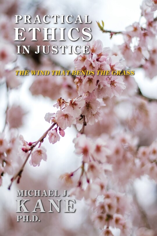 Front cover_Practical Ethics in Justice