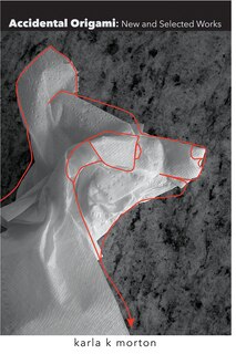 Front cover_Accidental Origami