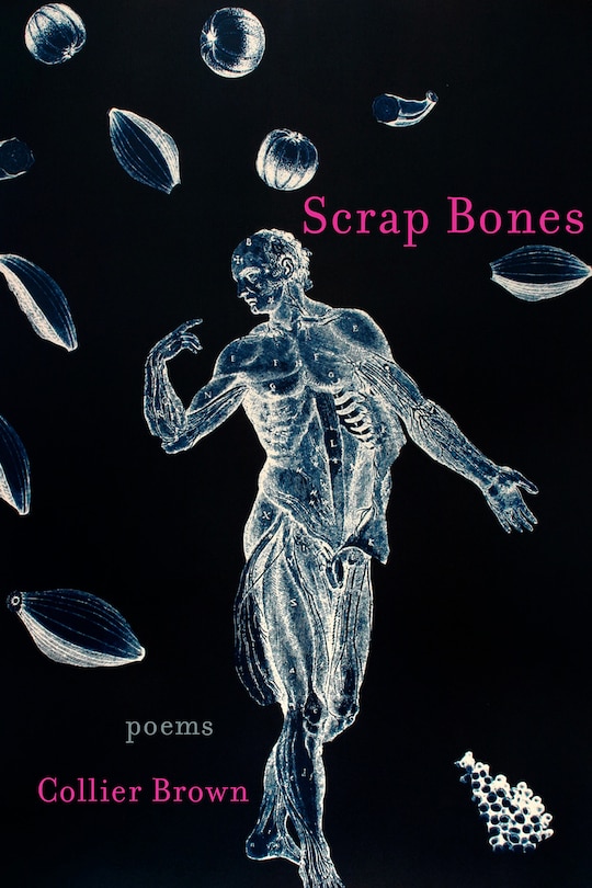 Front cover_Scrap Bones