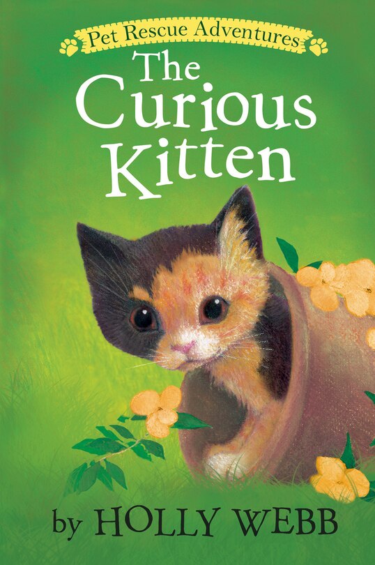 Front cover_The Curious Kitten