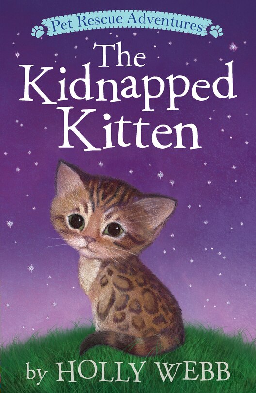 Front cover_The Kidnapped Kitten