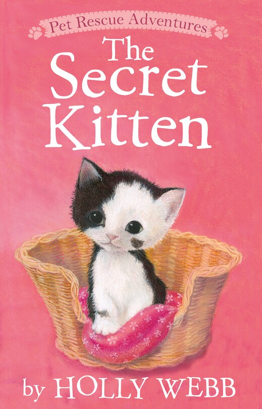 Front cover_The Secret Kitten