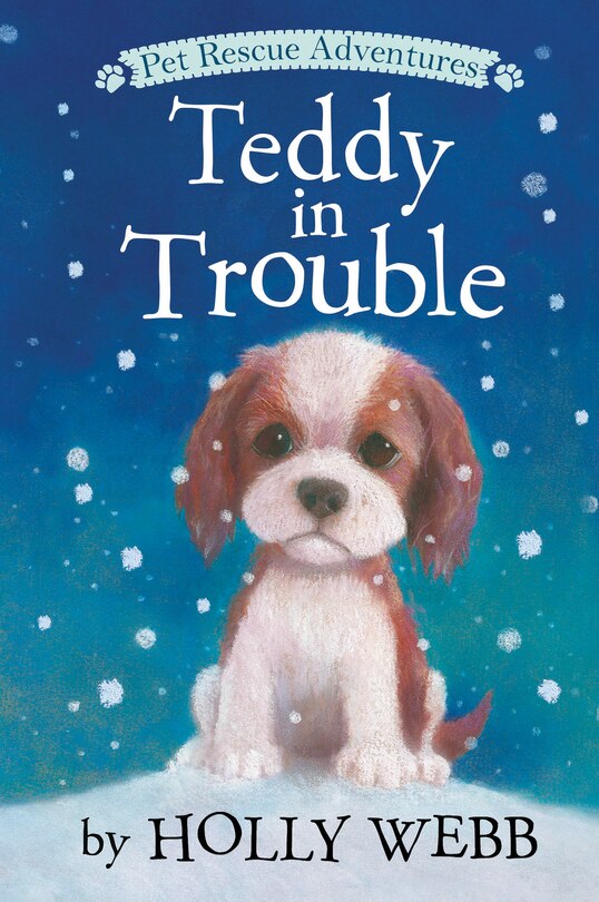 Front cover_Teddy In Trouble