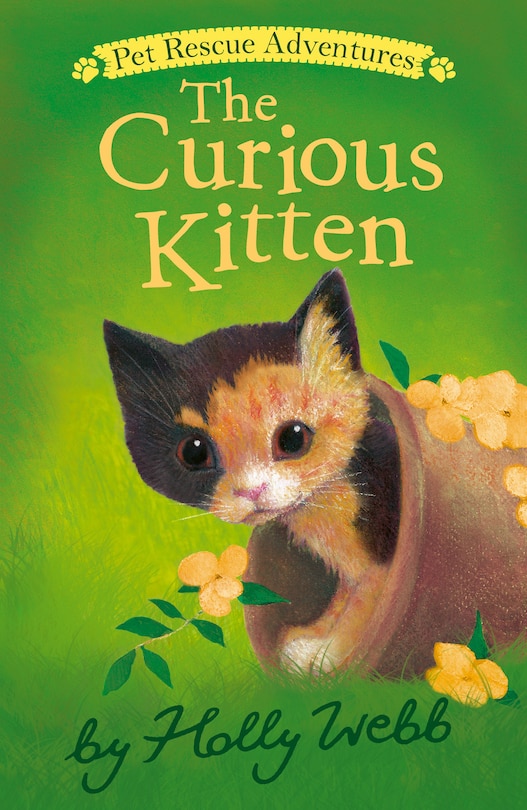 Front cover_The Curious Kitten