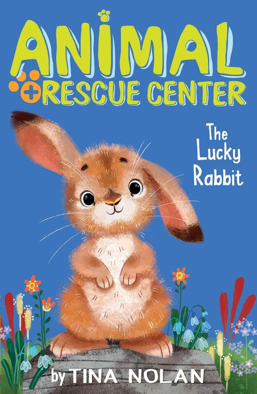 Front cover_The Lucky Rabbit