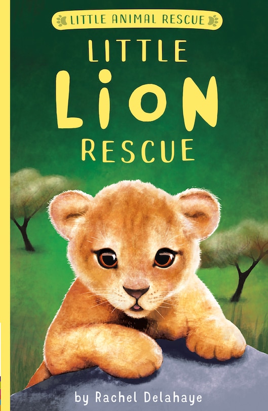 Front cover_Little Lion Rescue