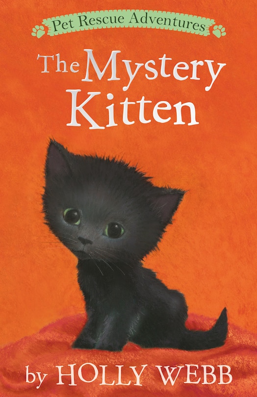 Front cover_The Mystery Kitten