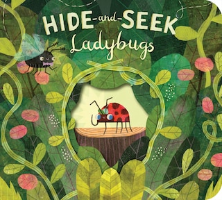 Hide-and-seek Ladybugs