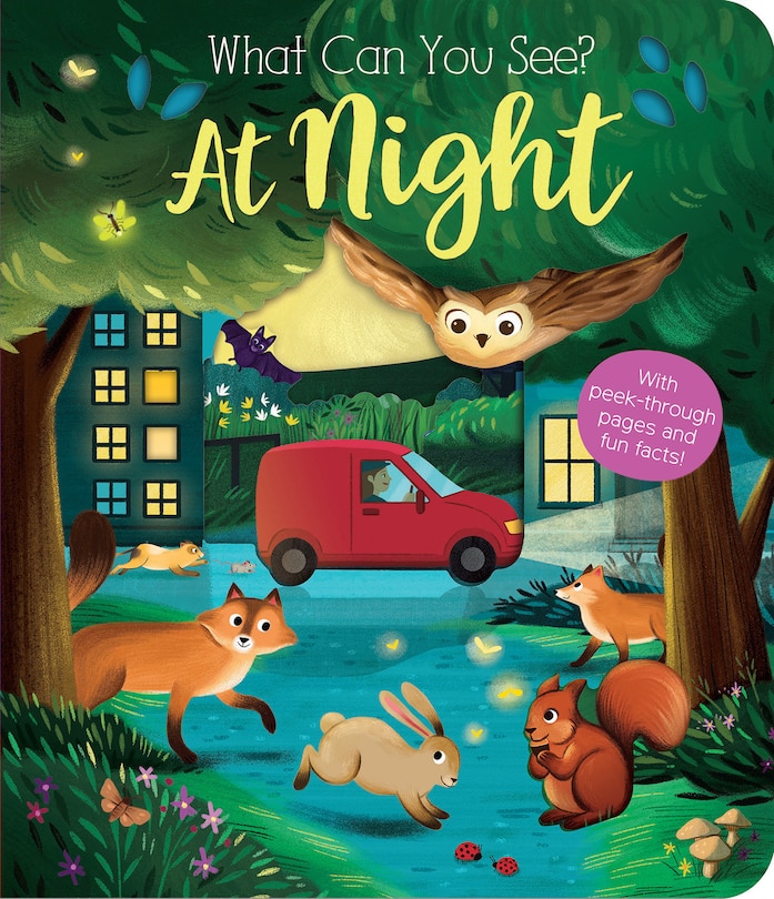 Front cover_What Can You See? At Night