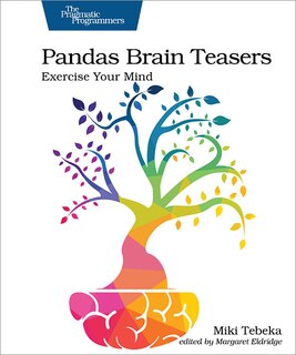 Front cover_Pandas Brain Teasers