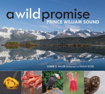 Couverture_A Wild Promise