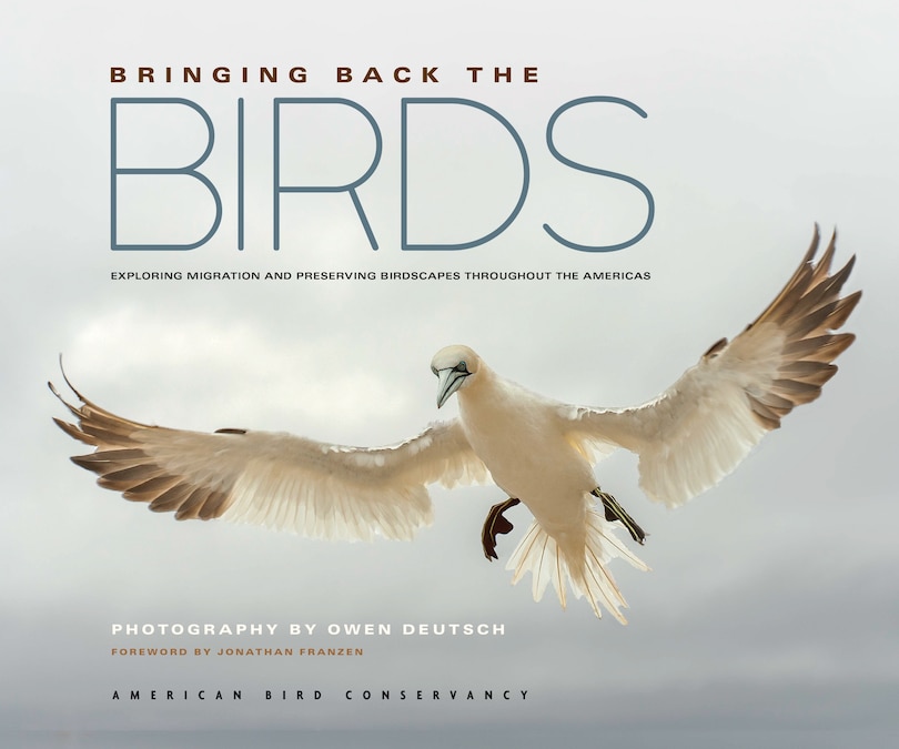 Front cover_Bringing Back The Birds