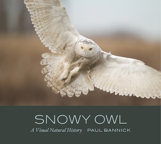 Couverture_Snowy Owl