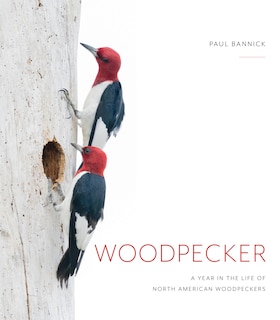 Front cover_Woodpecker