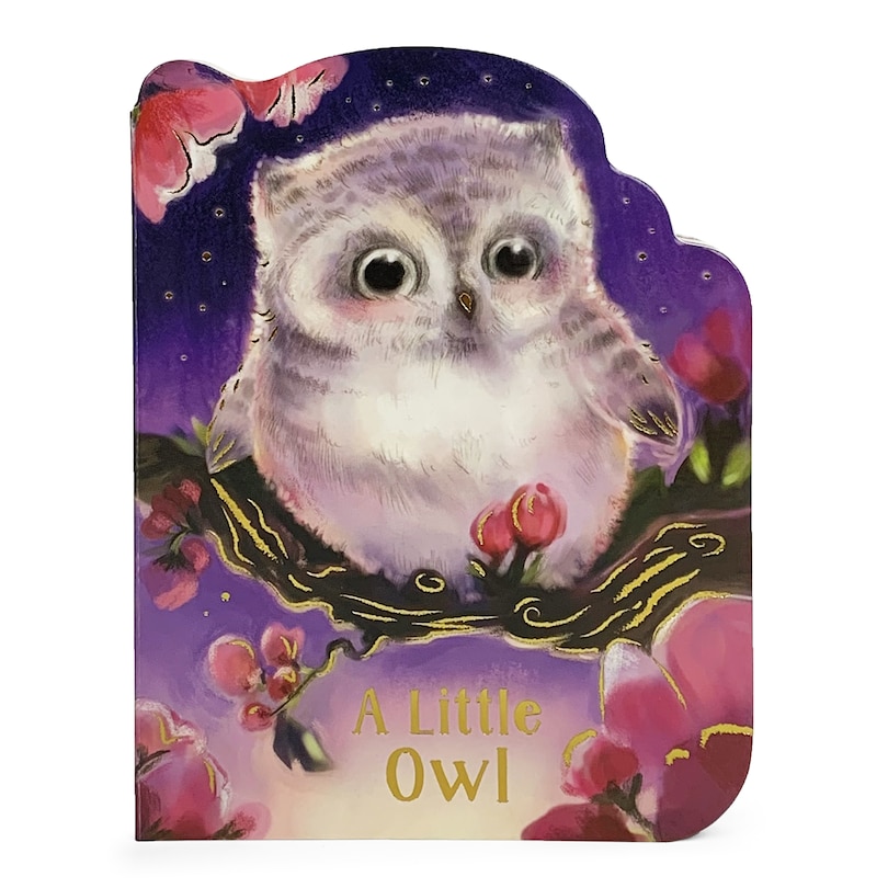 Couverture_A Little Owl