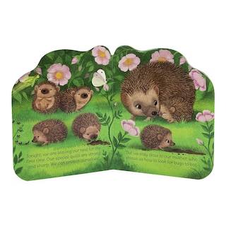 Couverture_A Little Hedgehog