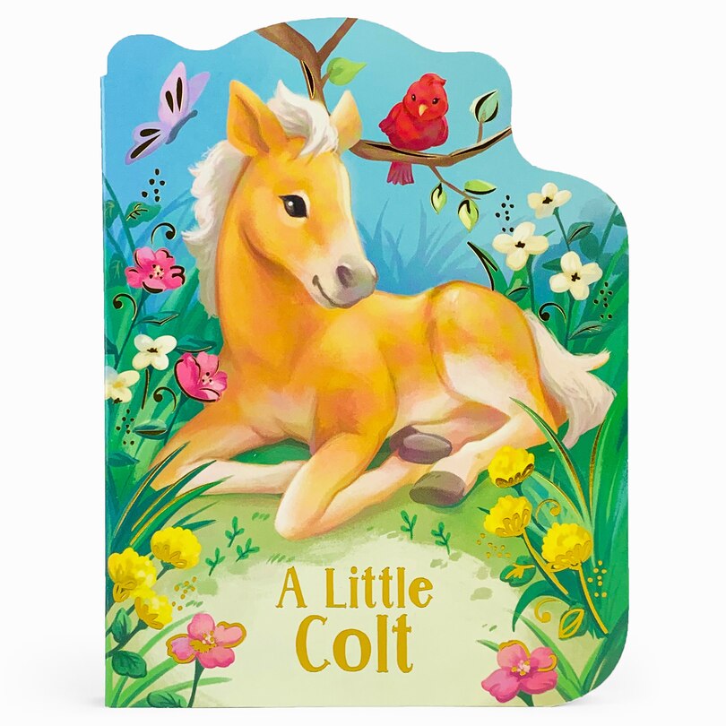 Couverture_A Little Colt