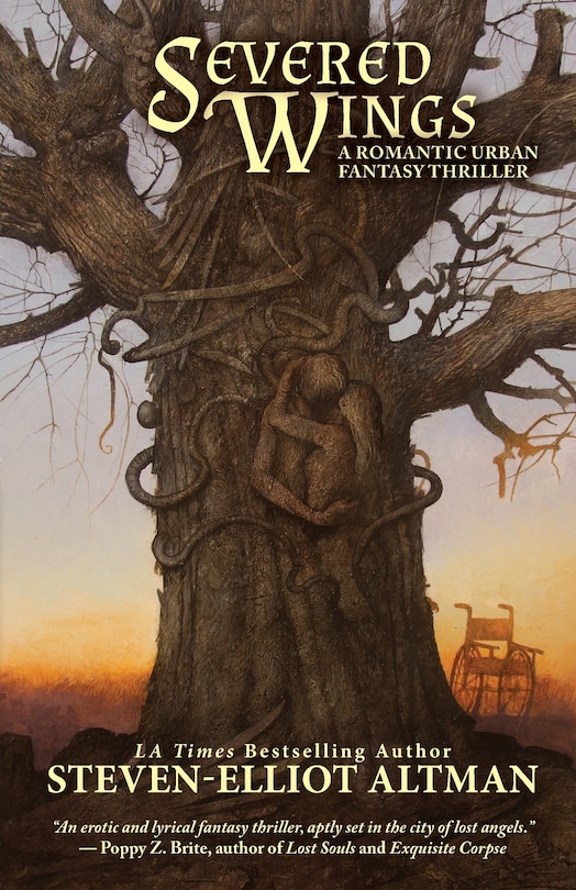 Front cover_Severed Wings