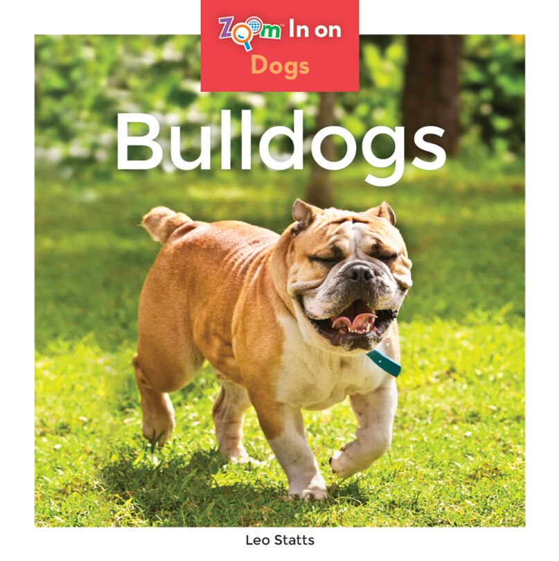 Couverture_Bulldogs
