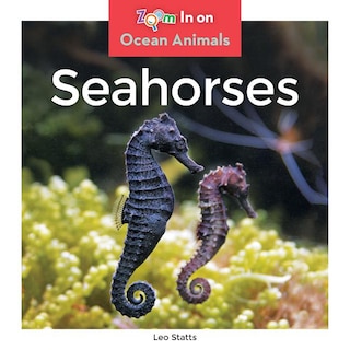 Couverture_Seahorses