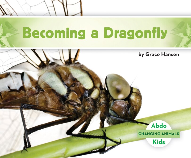 Couverture_Becoming A Dragonfly